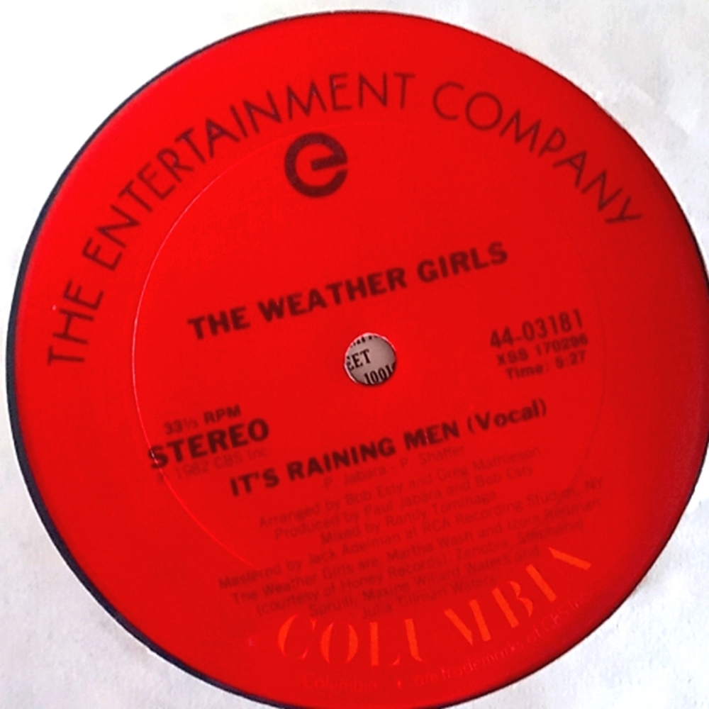 4/$20 It's Raining Men VINYL